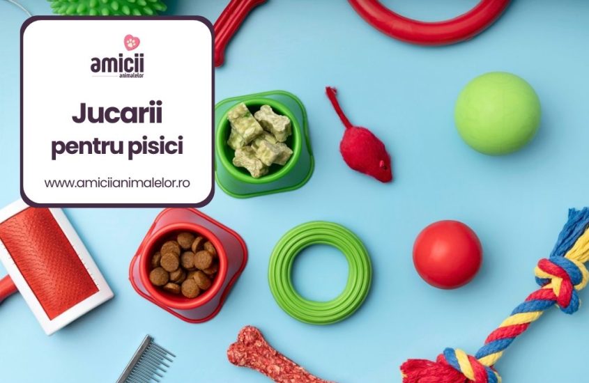 Cele mai bune jucarii pentru pisici