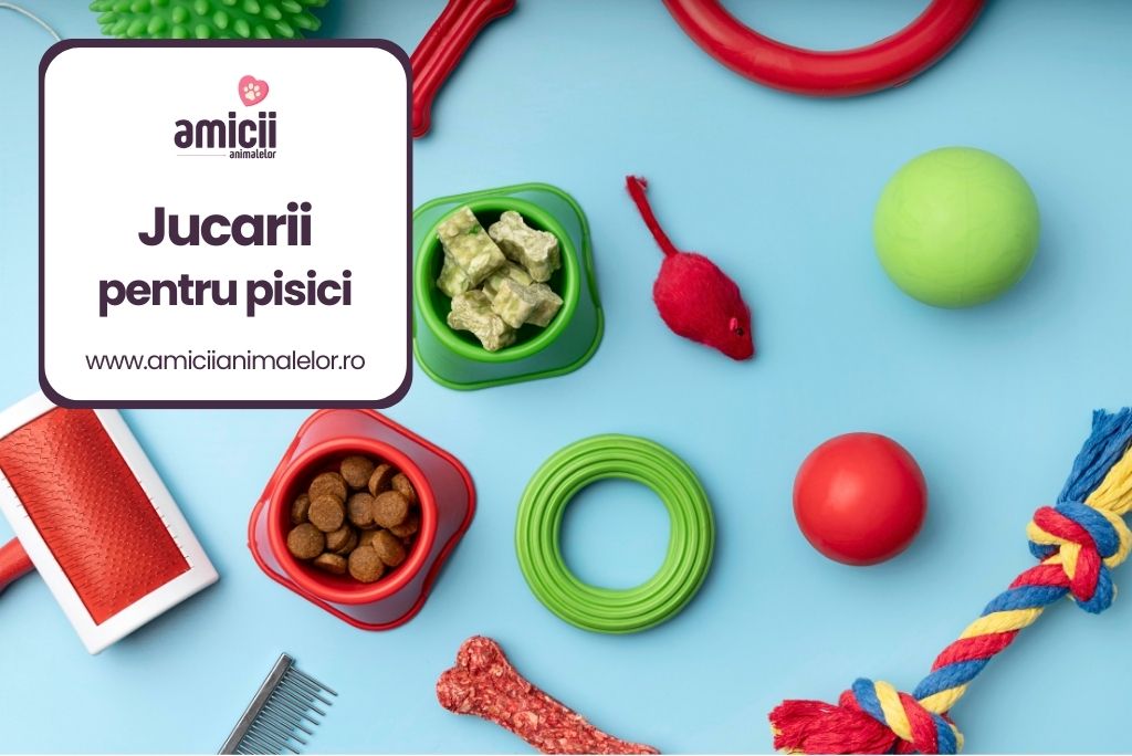 cele mai bune jucarii pentru pisici