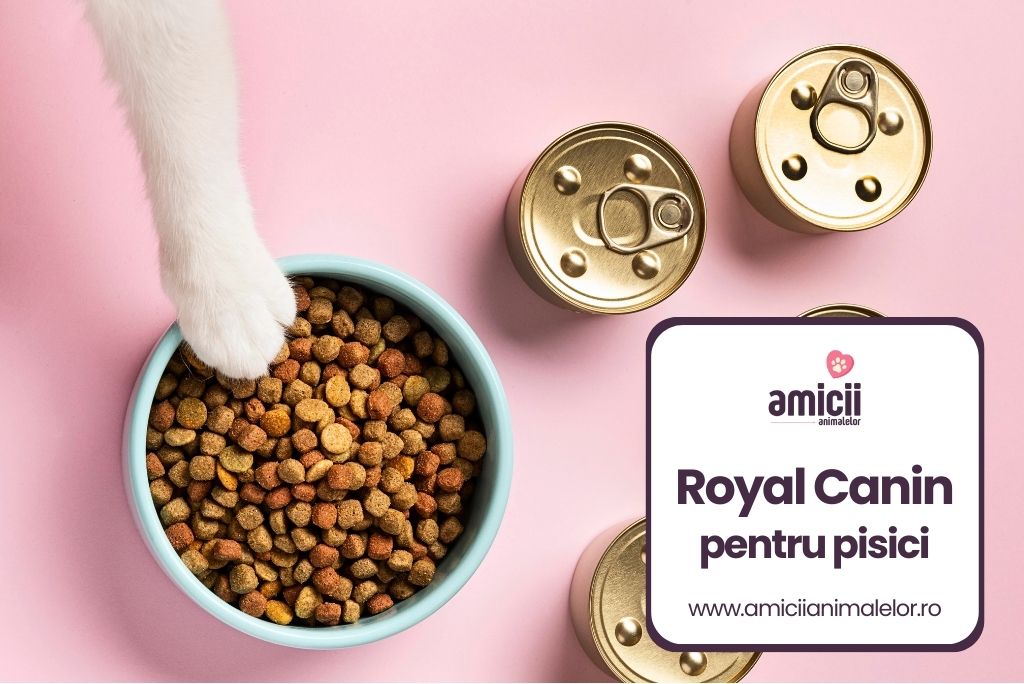 Royal Canin pentru pisici