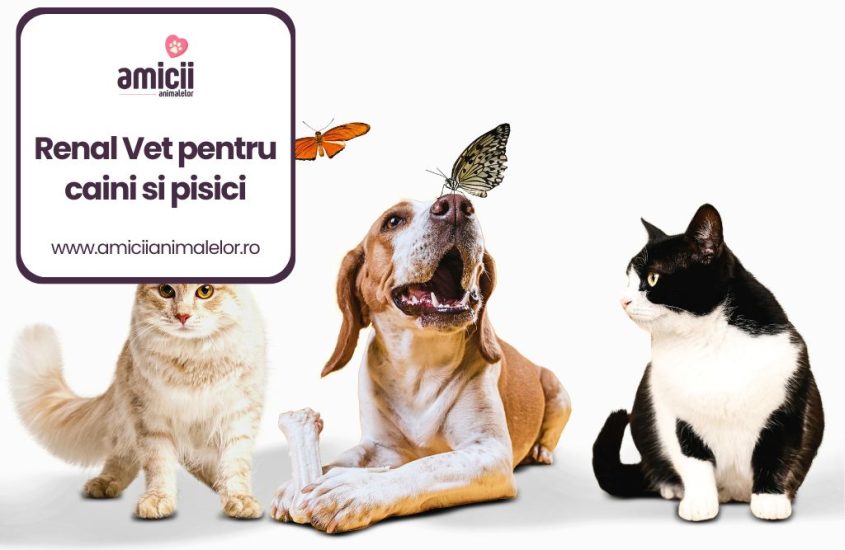 Renal Vet pentru caini si pisici